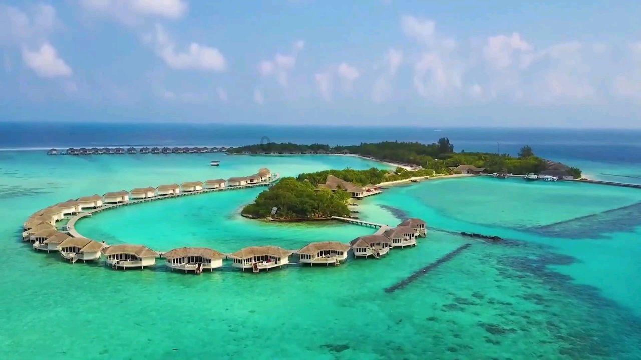 摩娜时尚博客